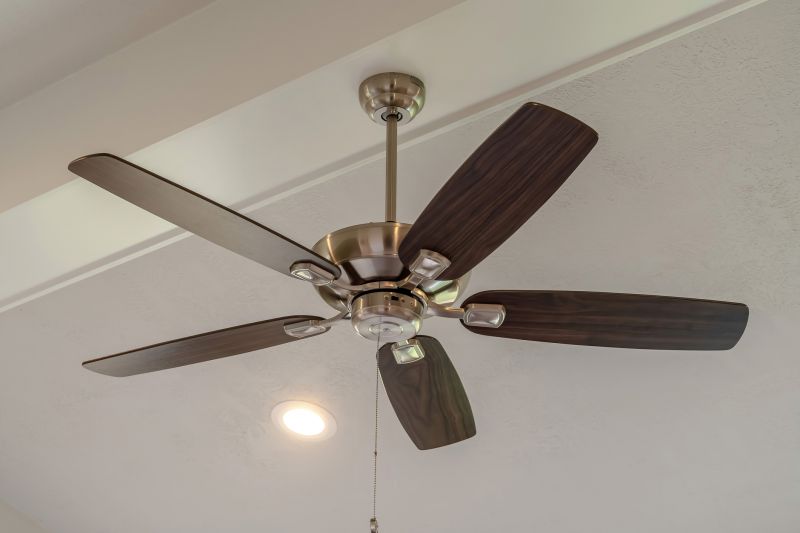 Ceiling Fan Installation in Olathe, KS